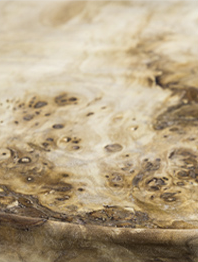 HESSENTIA-CORNELIO-CAPPELLINI-Heron-side-table-top-detail-natural-poplar-root-wood